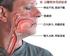 1_副本.jpg 1_副本.jpg